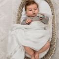 Baby Wickel