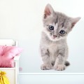 WANDAUFKLEBER KÄTZCHEN