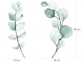 WANDAUFKLEBER EUKALYPTUSBLÄTTER