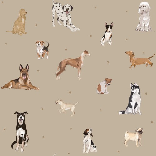 tapete mit hunde