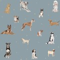tapete mit hunde